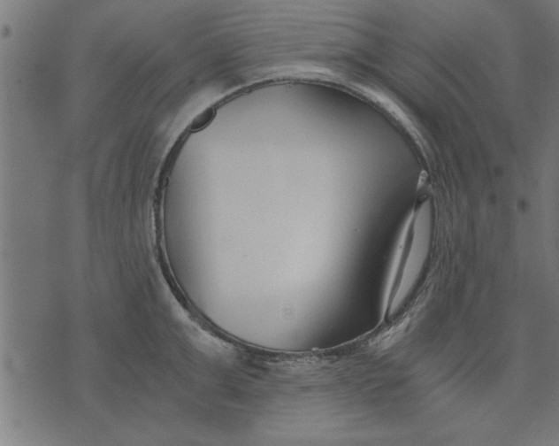 X0000073490999200608211645