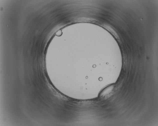 X0000073491000200608211645