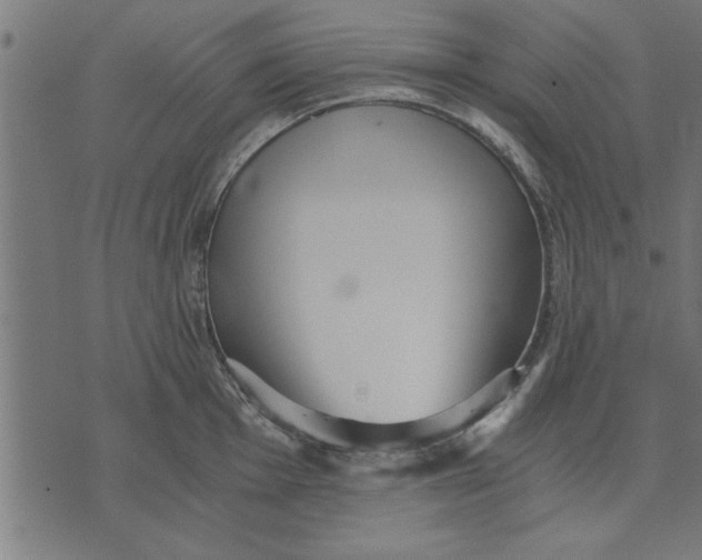 X0000073491001200608211645