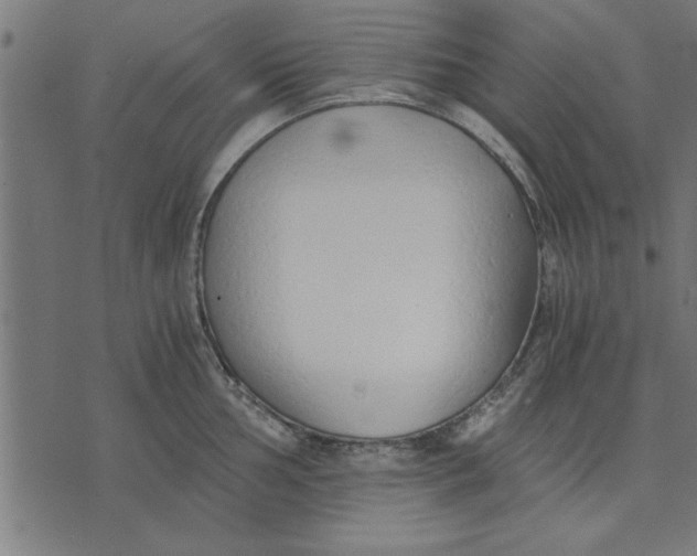 X0000073491002200608211645