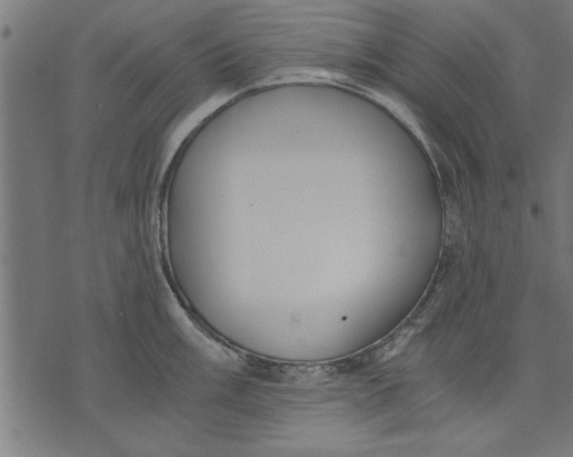 X0000073491003200608211645