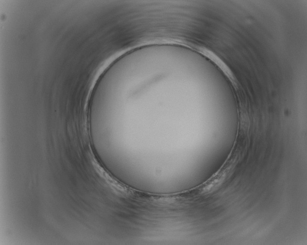 X0000073491004200608211645