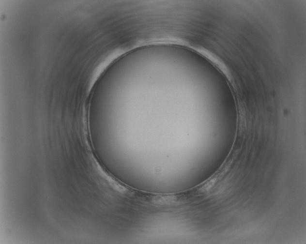 X0000073491006200608211645