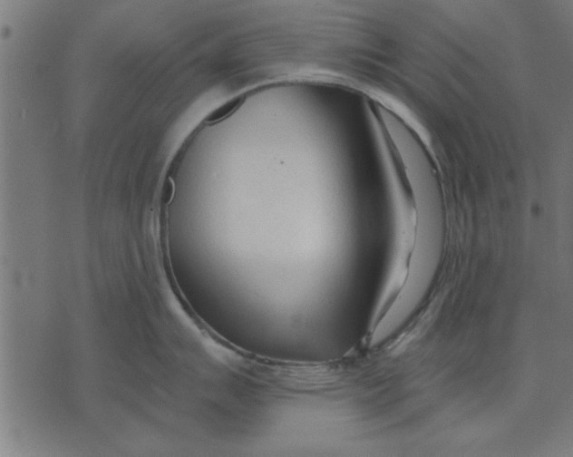 X0000073491007200608211645