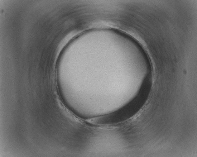 X0000073491008200608211645