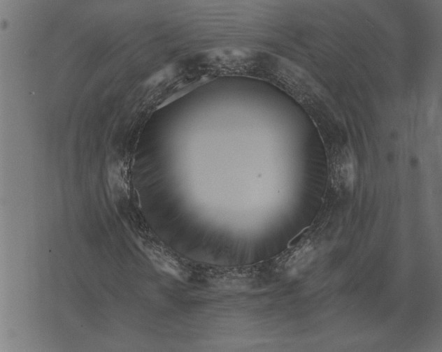 X0000073491010200608211644