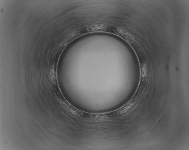 X0000073491011200608211644