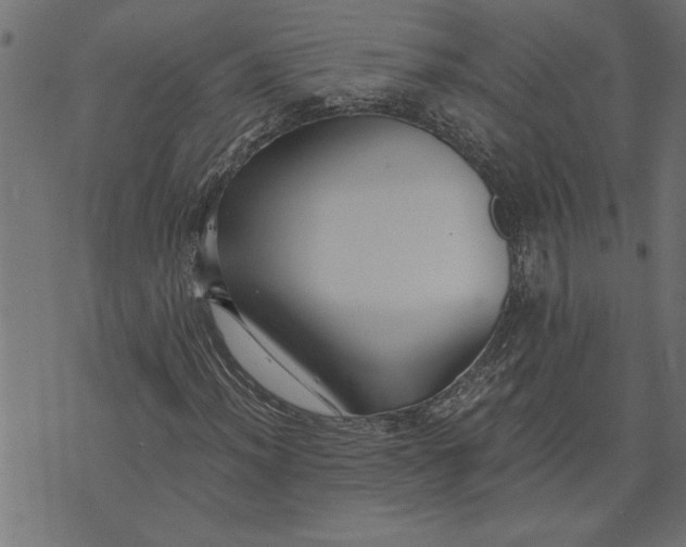 X0000073491012200608211644