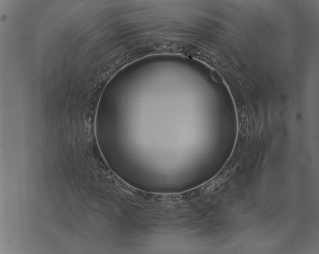 X0000073491013200608211644