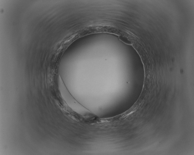 X0000073491014200608211644