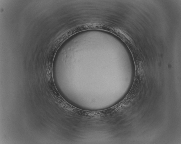 X0000073491015200608211644