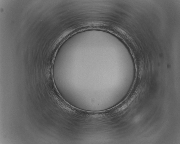 X0000073491017200608211644