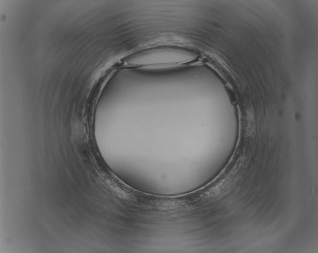 X0000073491018200608211644