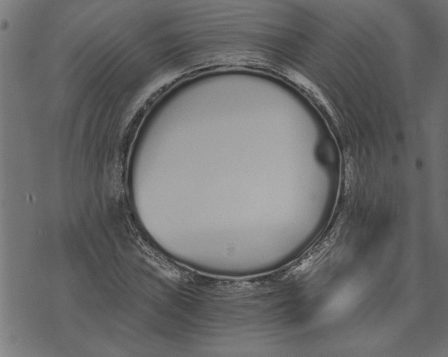 X0000073491019200608211644