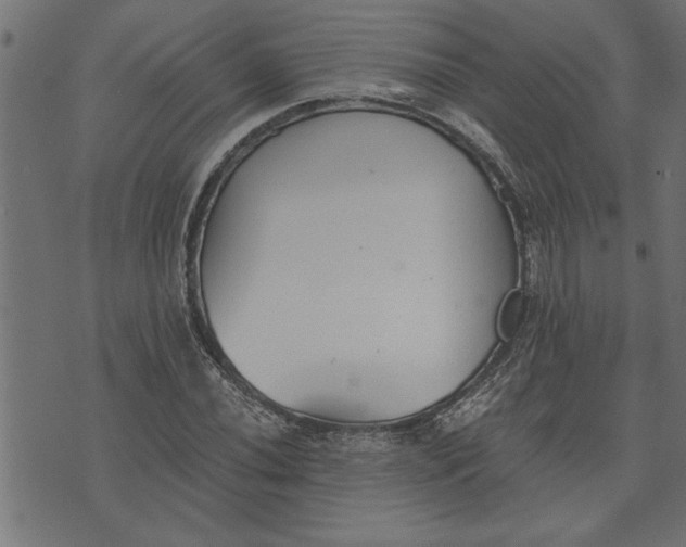 X0000073491020200608211644