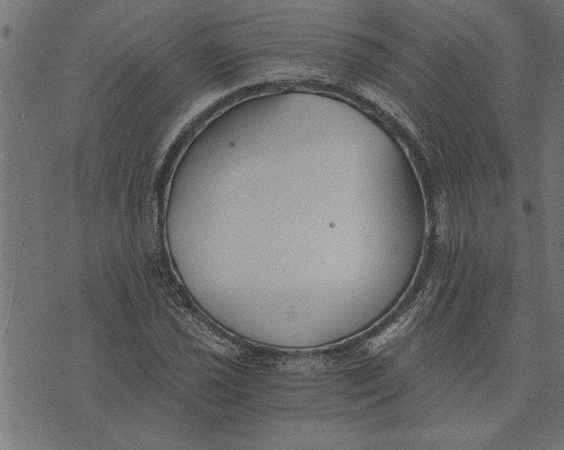 X0000073491021200608211644