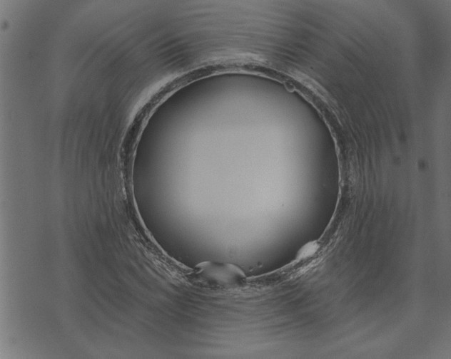 X0000073491022200608211644