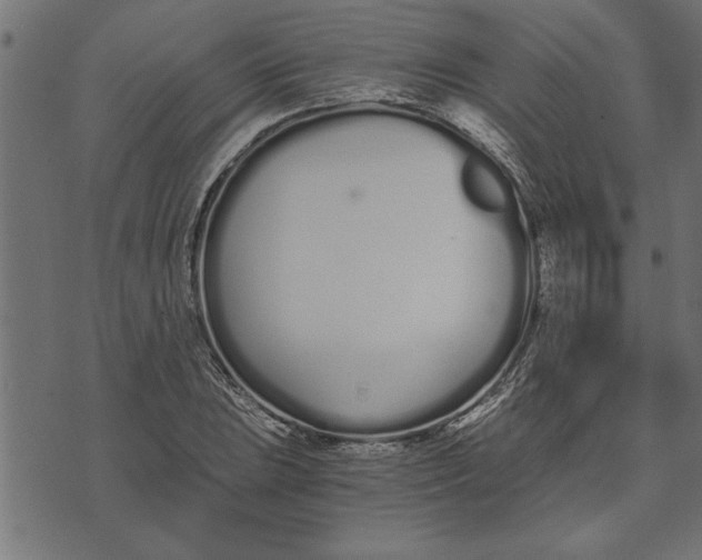 X0000073491023200608211644