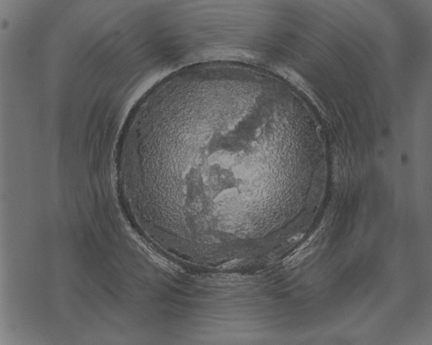 X0000073491024200608211644