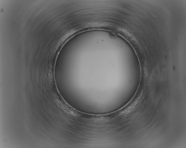 X0000073491025200608211644