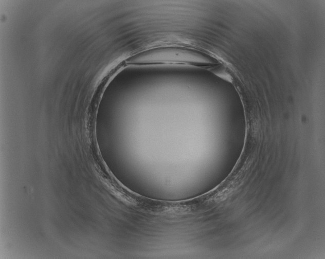 X0000073491026200608211644