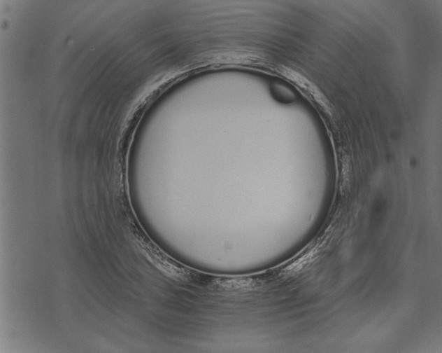 X0000073491027200608211644