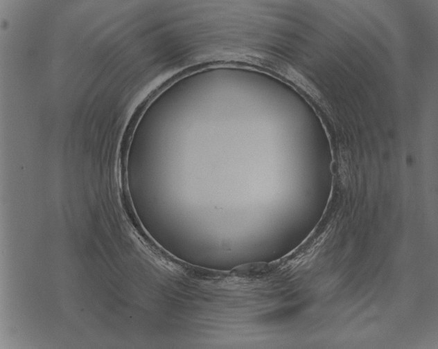 X0000073491028200608211644