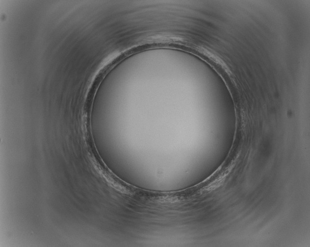 X0000073491029200608211644