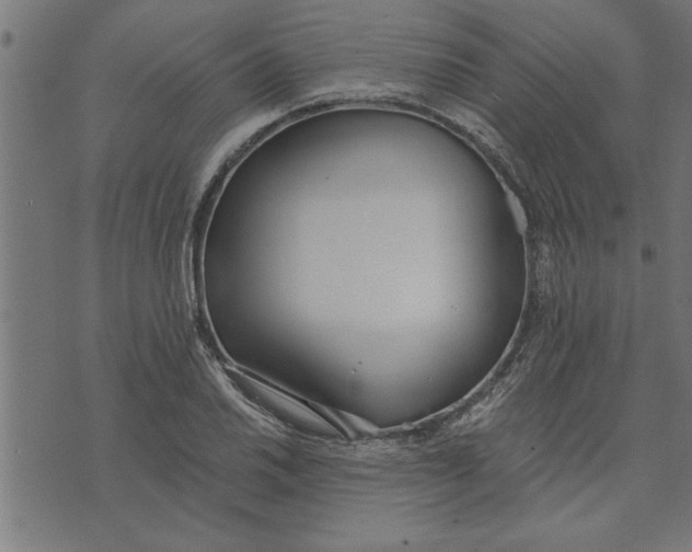 X0000073491030200608211644