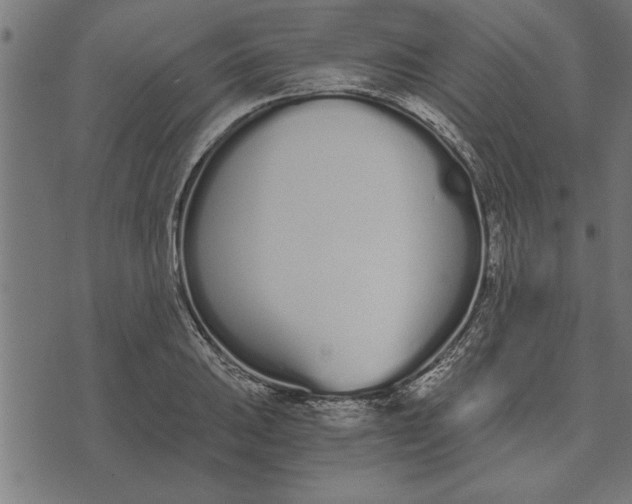 X0000073491031200608211645