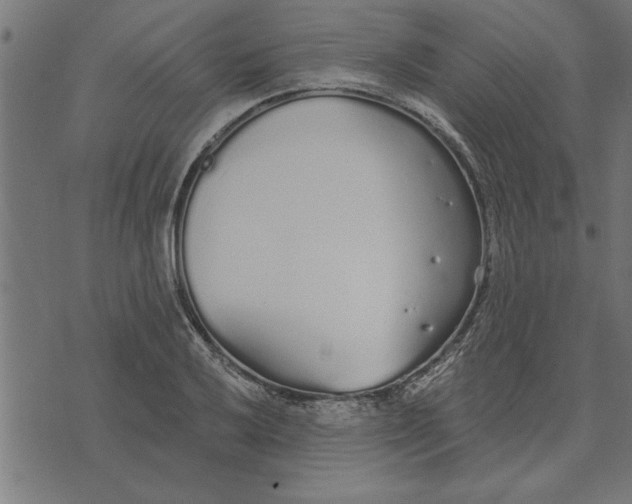 X0000073491032200608211645