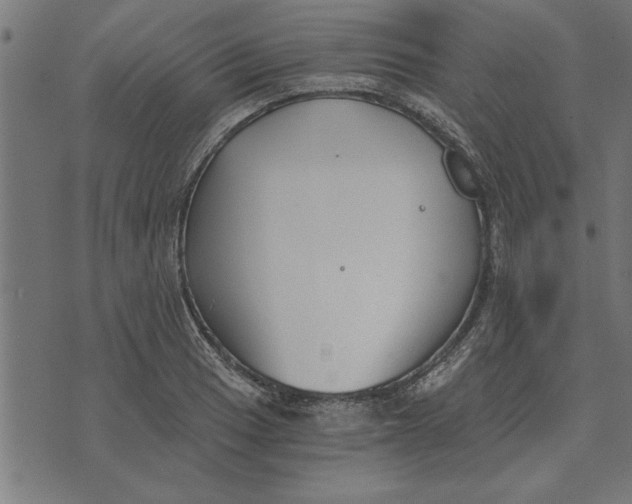 X0000073491033200608211645