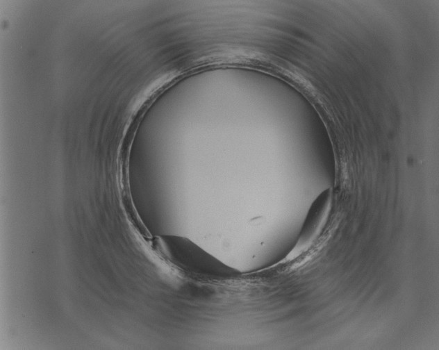 X0000073491034200608211645