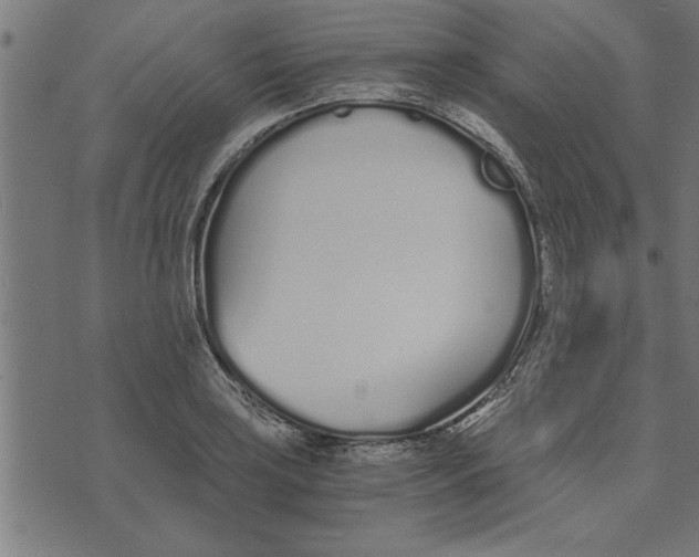 X0000073491035200608211645