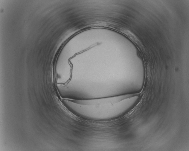 X0000073491036200608211645