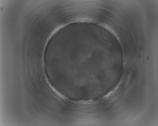 X0000073491037200608211645