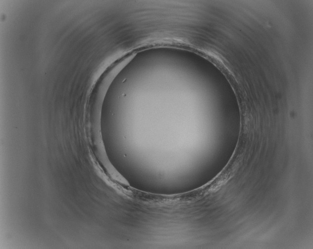 X0000073491038200608211645