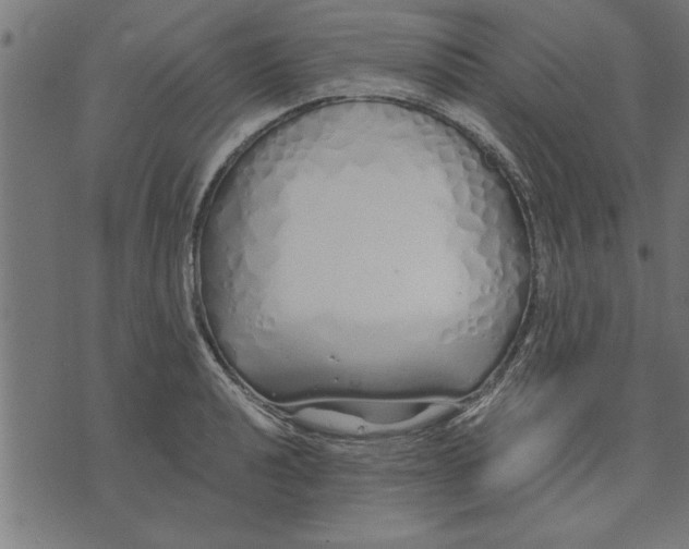 X0000073491040200608211645