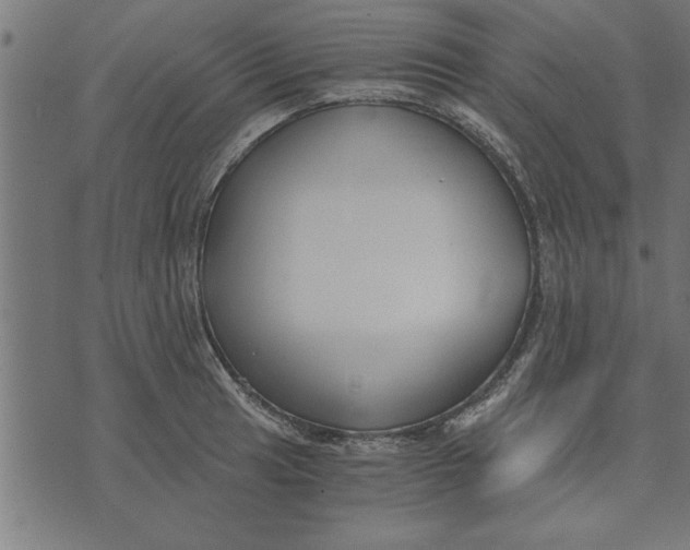 X0000073491041200608211645