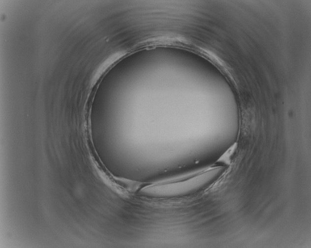 X0000073491042200608211645