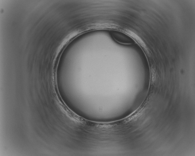 X0000073491043200608211645