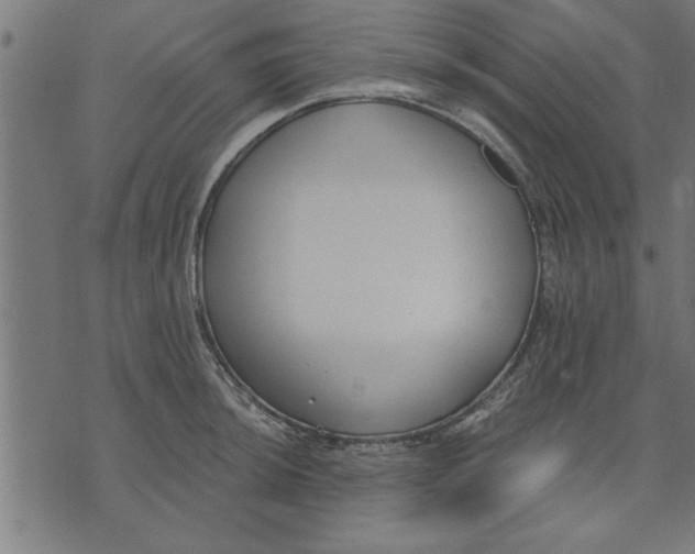 X0000073491044200608211645