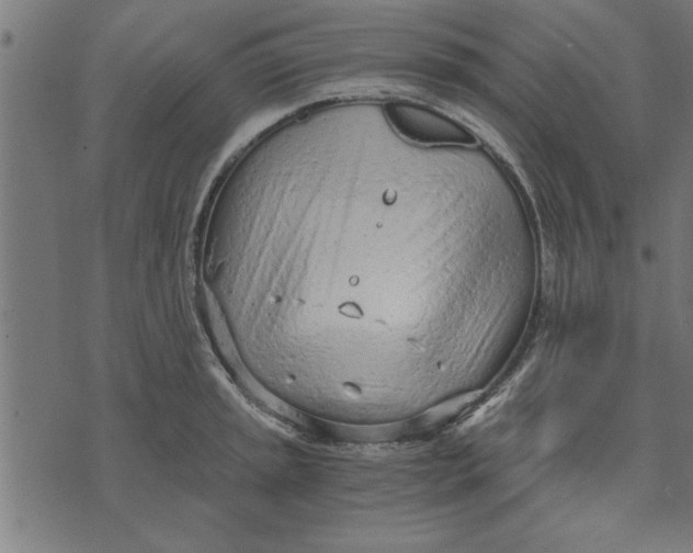 X0000073491045200608211645