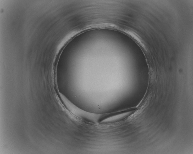 X0000073491046200608211645