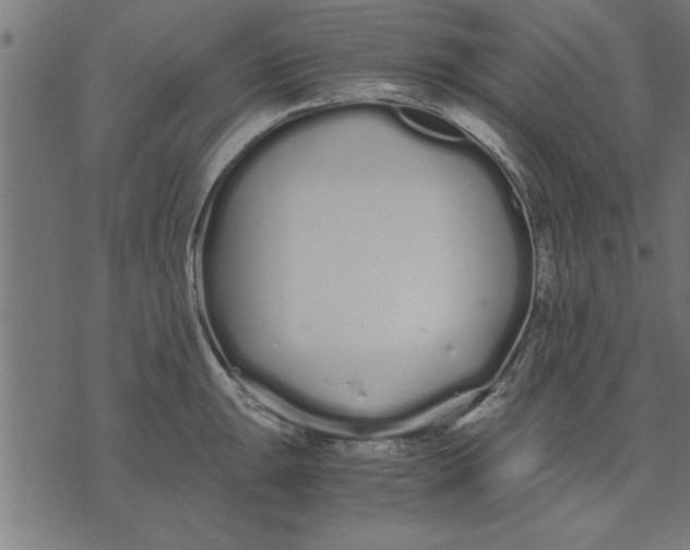 X0000073491047200608211645