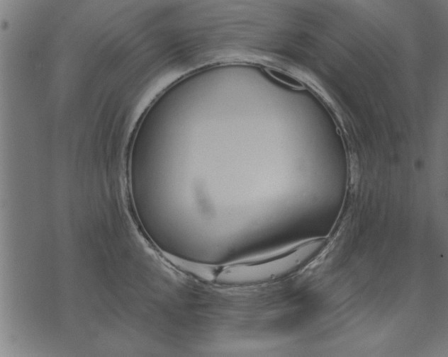 X0000073491048200608211645