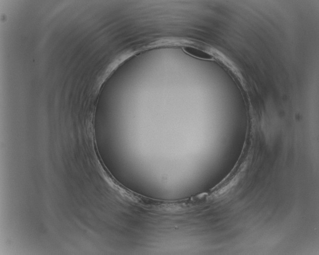 X0000073491049200608211645