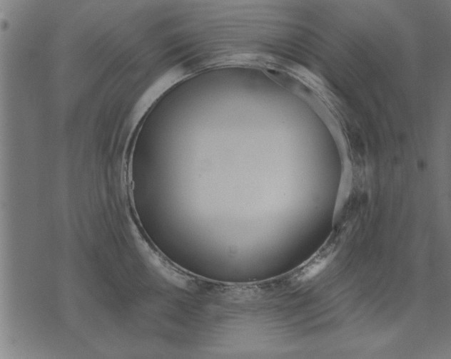 X0000073491050200608211645