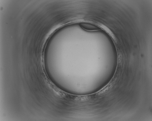 X0000073491051200608211645