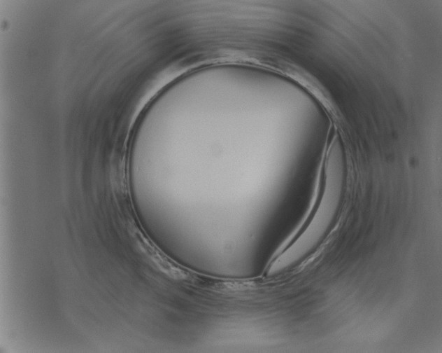 X0000073491052200608211645